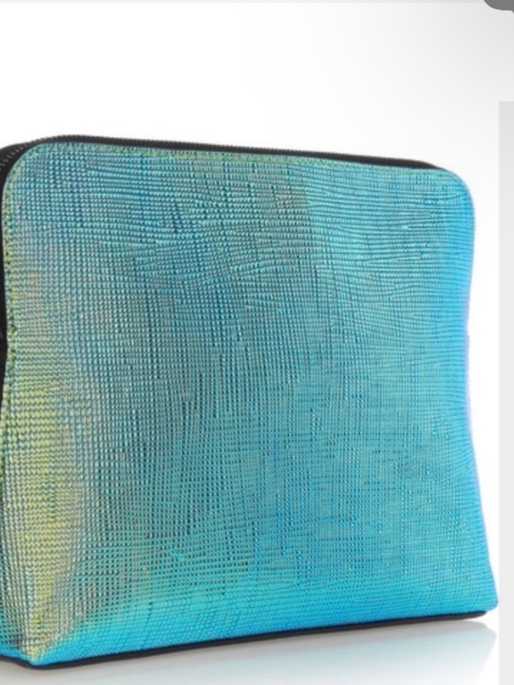 🌺 3.1 Phillip Lim Iridescent Leather Zip Clutch